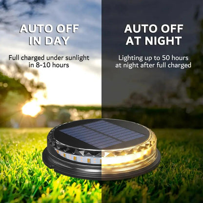 LED Solar Pathway Lights