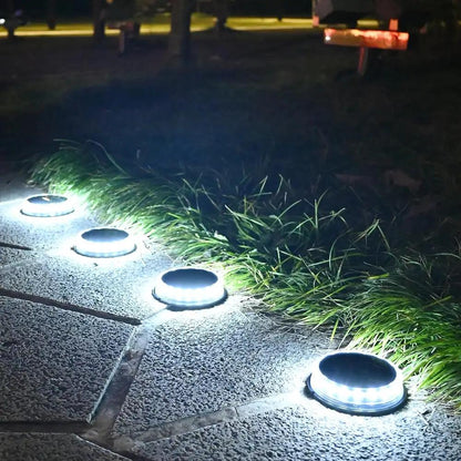 LED Solar Pathway Lights